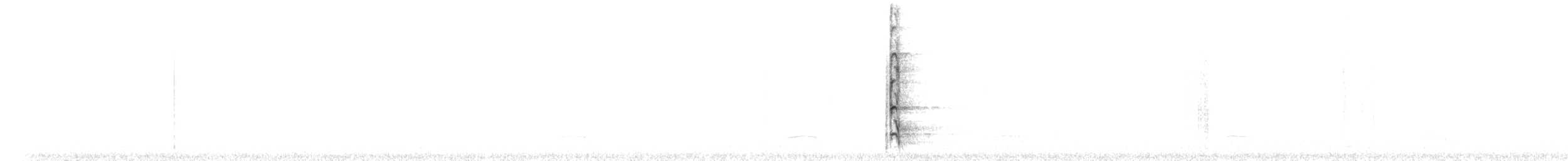 Декол плямистоволий [група melanolaimus] - ML212910