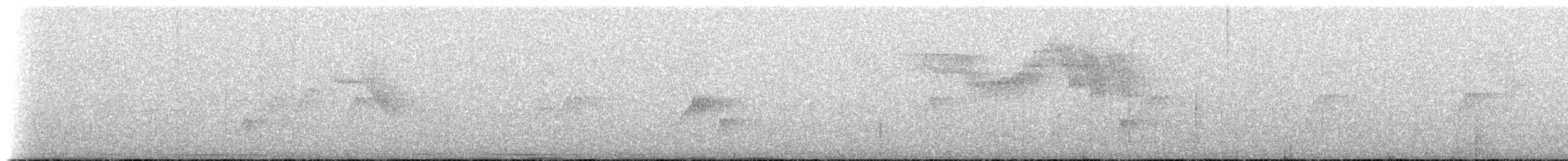 Gözlüklü Hokko (fasciolata/grayi) - ML212925