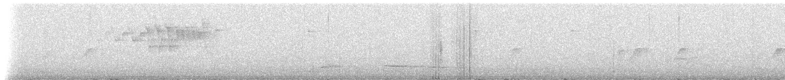 Мухоїд світлогорлий (підвид grisescens) - ML212926
