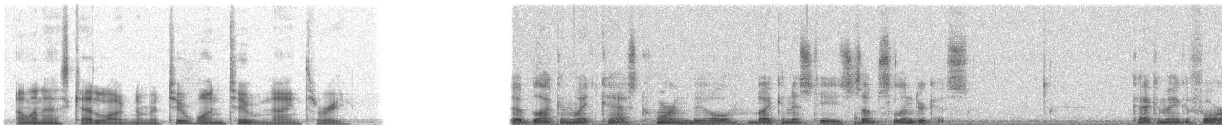 Calao à joues grises - ML21293