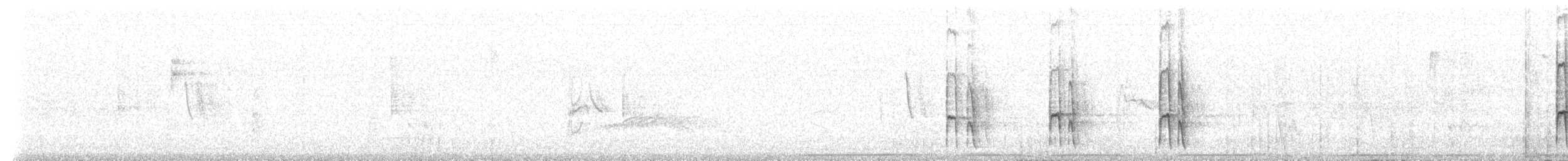 Tarçın Karınlı Bülbül Tiranı - ML212949