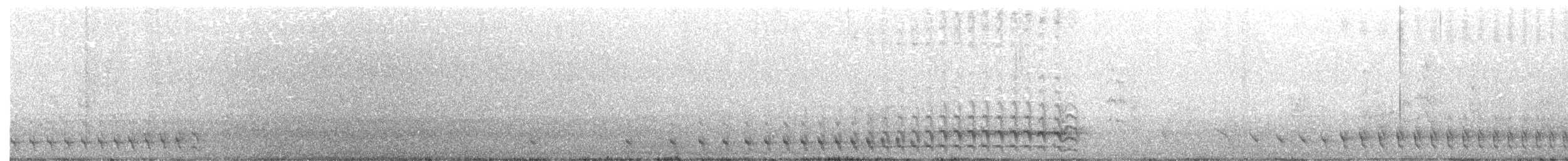 trogon černohlavý - ML212953561