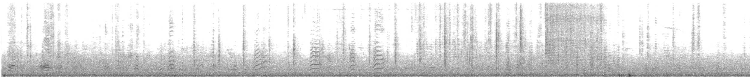Bufflehead - ML212957171