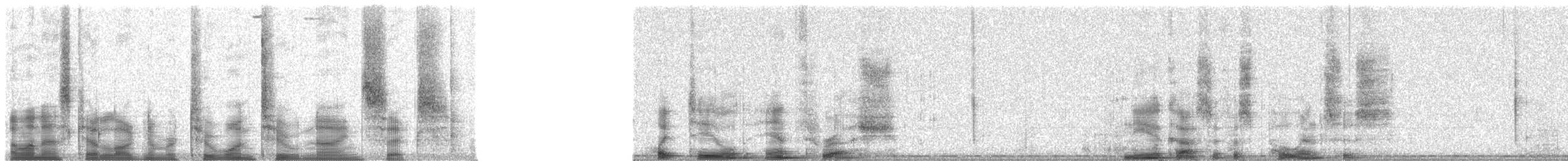 hvithalemaurtrost - ML21296