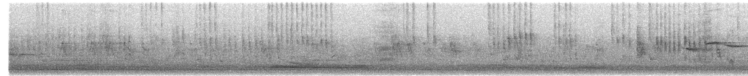 Nilgiri Sholakili - ML212962681