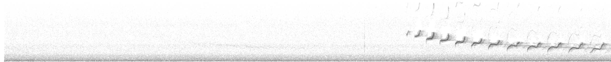 Каньонный крапивник - ML213024521