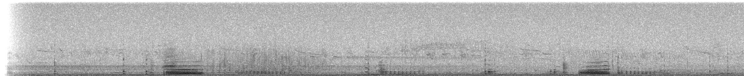 Cormoran à aigrettes - ML213060501