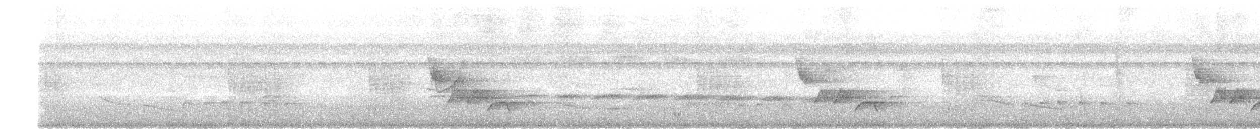 Белогрудый крапивник - ML213084411