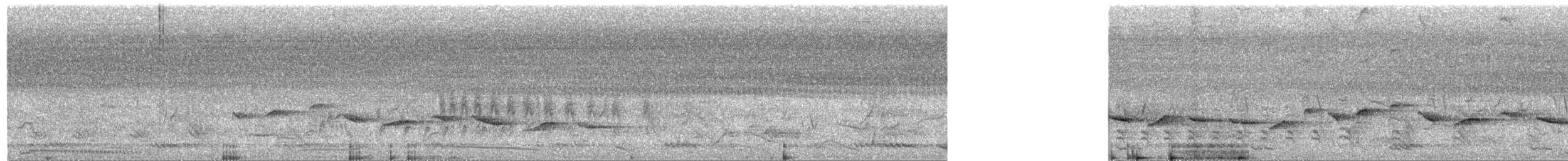 Пятнистогрудая тимелия-говорушка - ML213149871