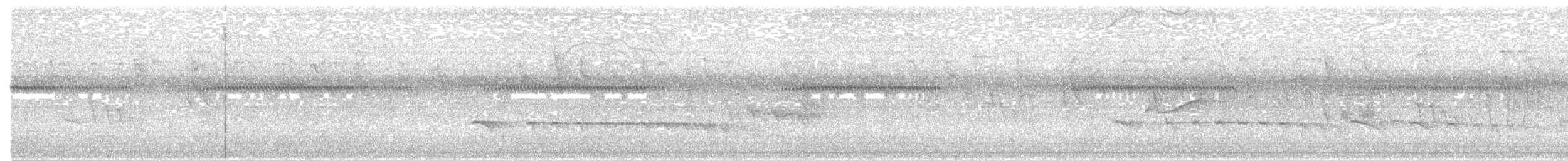Spix's Warbling-Antbird - ML213221431