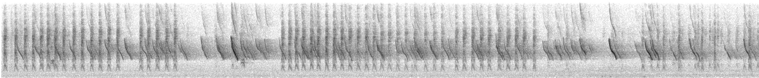 Weißaugen-Honigfresser - ML213255141