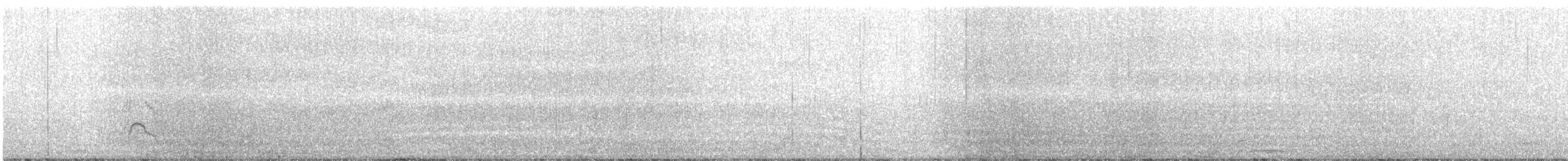 Canard siffleur - ML213299531