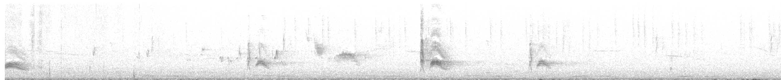 Cassin's Kingbird - ML213306071