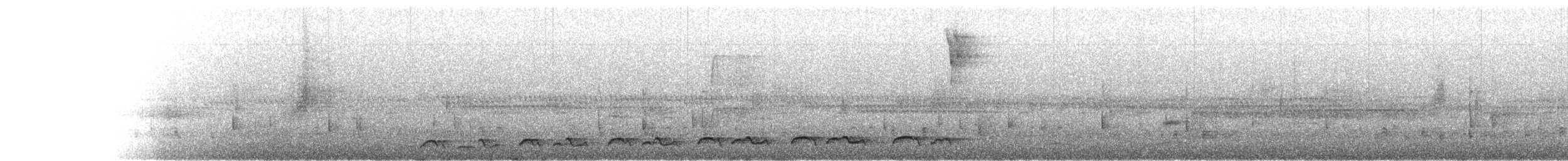 Lyre-tailed Nightjar - ML213309611