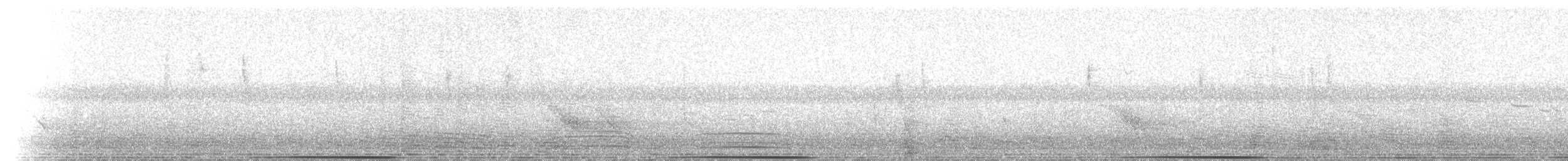 holub bronzovokřídlý - ML213379