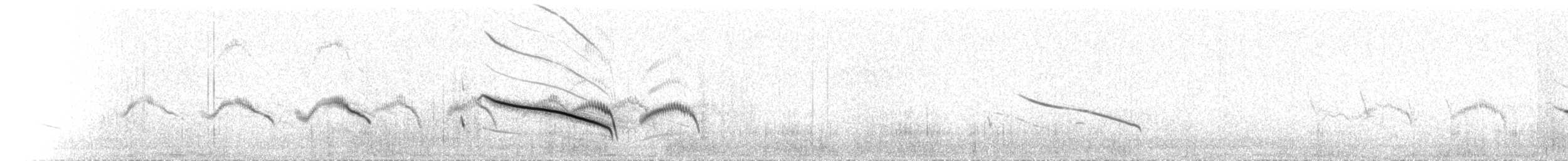 Eastern Long-billed Lark - ML213383691