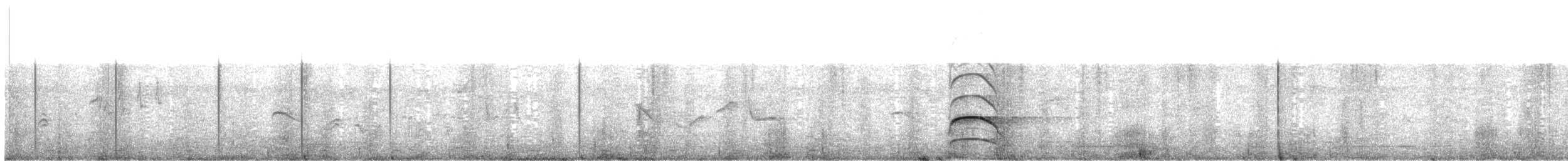 Banded Woodpecker - ML213407811