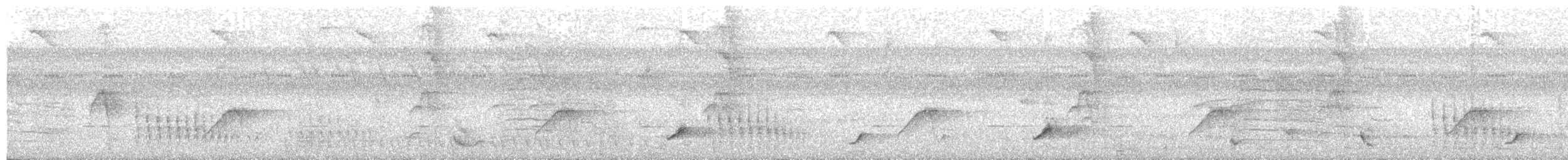 コシアカフウキンチョウ（passerinii） - ML213472991