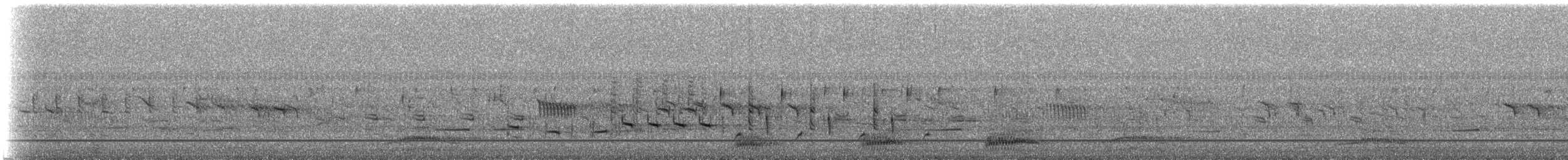 Hawaii Kargası - ML213495