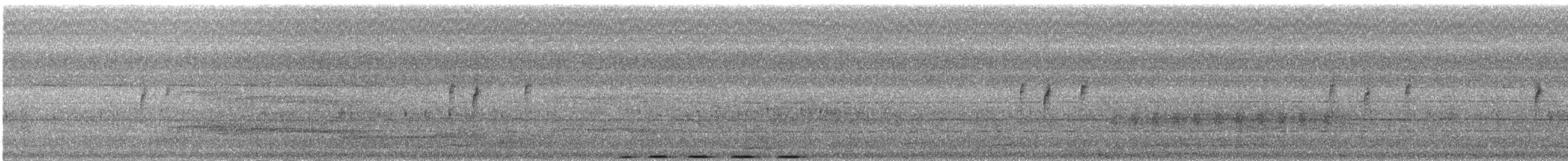 Capucin sombre - ML213505