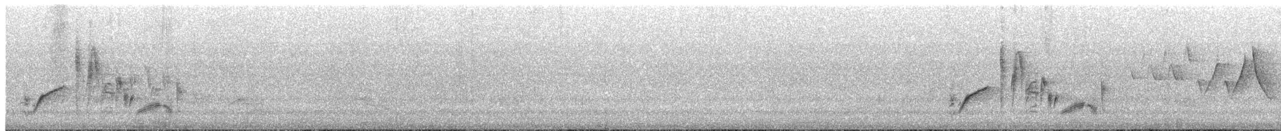 White-eyed Vireo - ML213527271