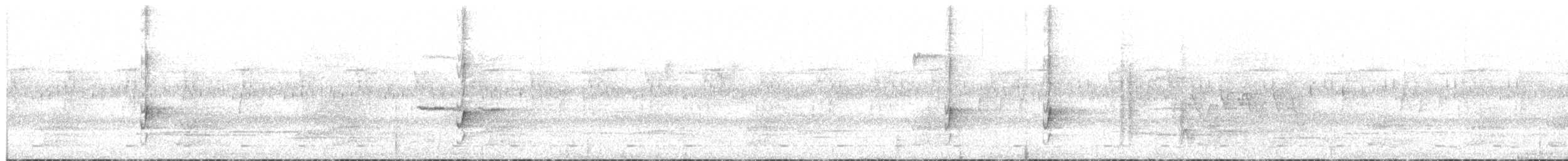 Лесной дронго (coracinus) - ML213554211