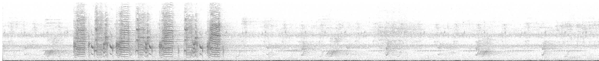 Velvet-mantled Drongo (coracinus) - ML213554441