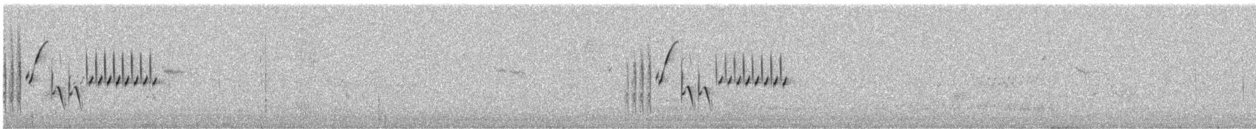 ノドグロヒメドリ - ML213562931