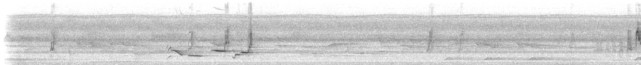 Perlbrust-Fächerschwanz - ML213580