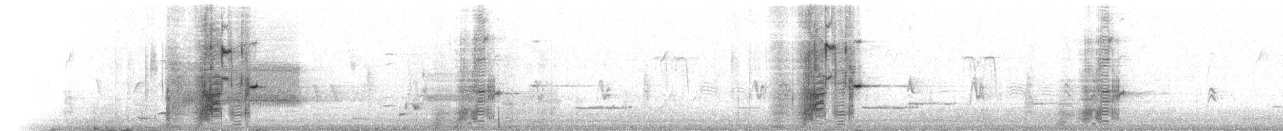 Пурпурный гракл - ML213617