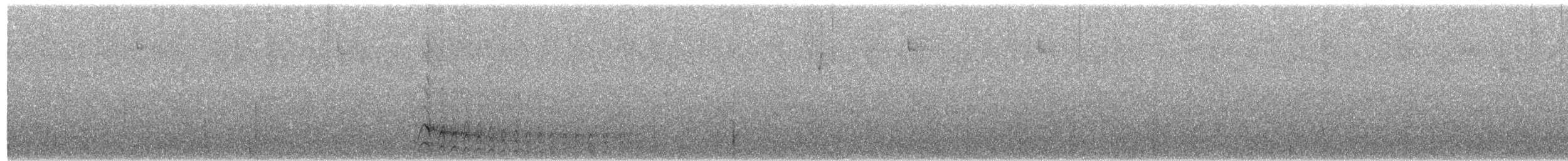 svarthaleketsal - ML213630021