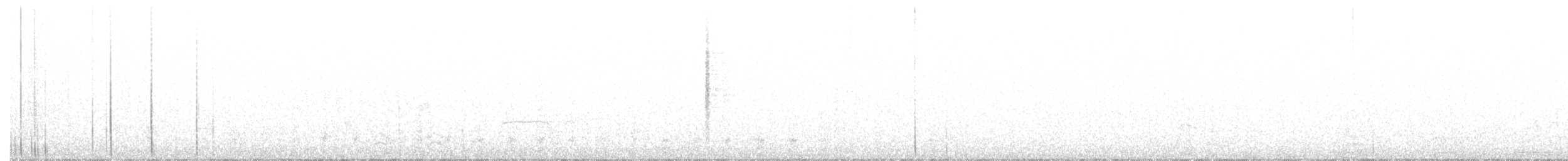 Troglodyte des marais - ML213672171