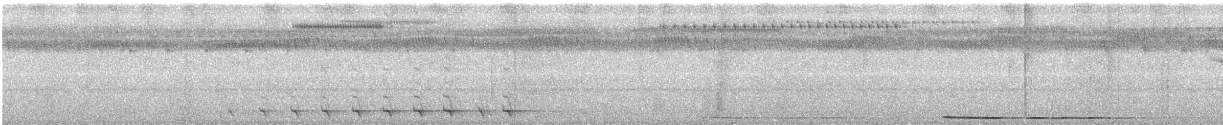 Trogon surucua (aurantius) - ML213678581
