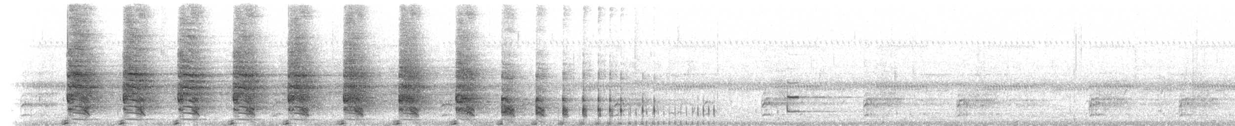 chřástal královský (ssp. elegans) - ML213726