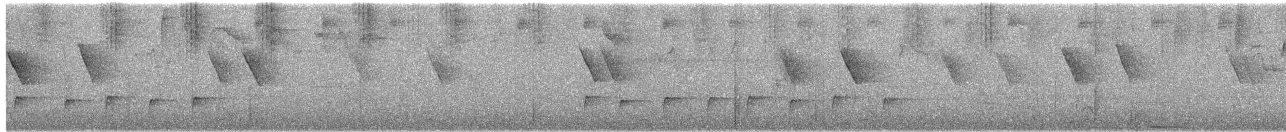 Smoke-colored Pewee - ML213748811