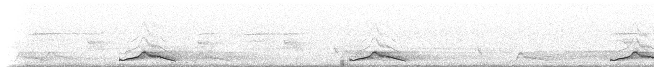 Common Pauraque - ML213780