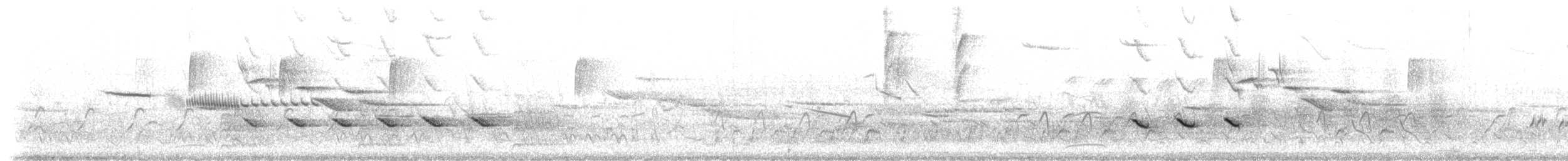 Black-crested Titmouse - ML213791