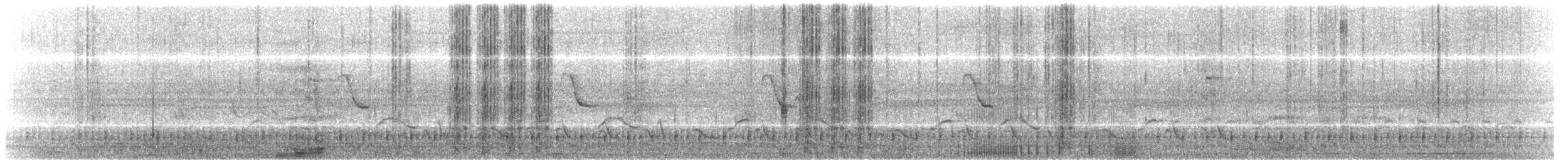 Troglodyte des Guarayos - ML213919191