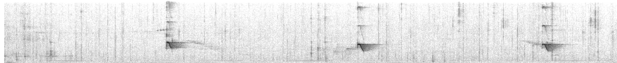 Rufous-capped Antthrush - ML213964601