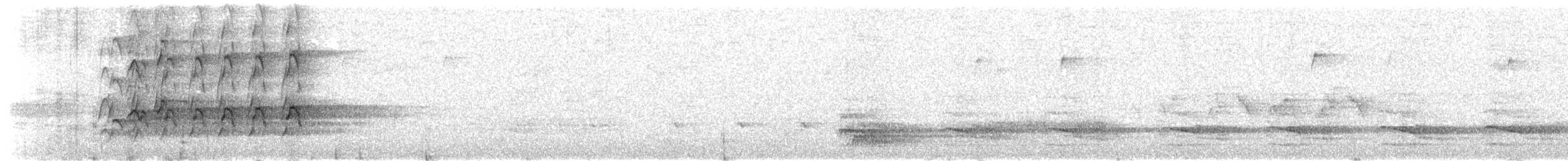 Swallow-tailed Kite - ML213994401