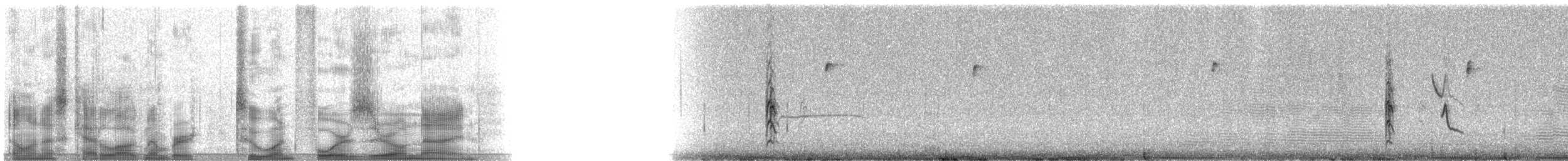 Canyon Towhee - ML21409