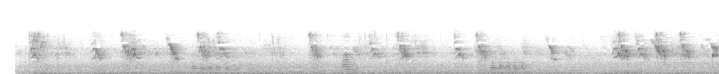 Mittelmeermöwe - ML214091891
