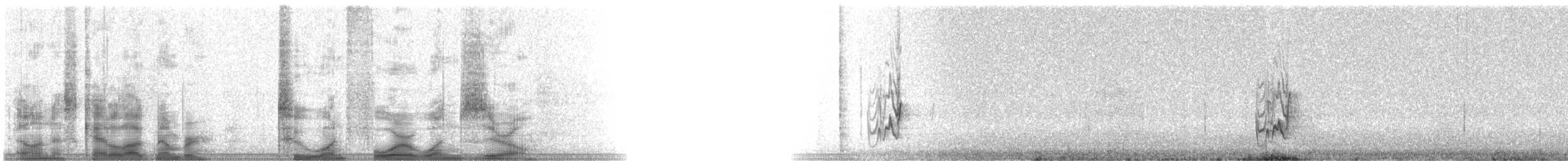 Crissal Thrasher - ML21410