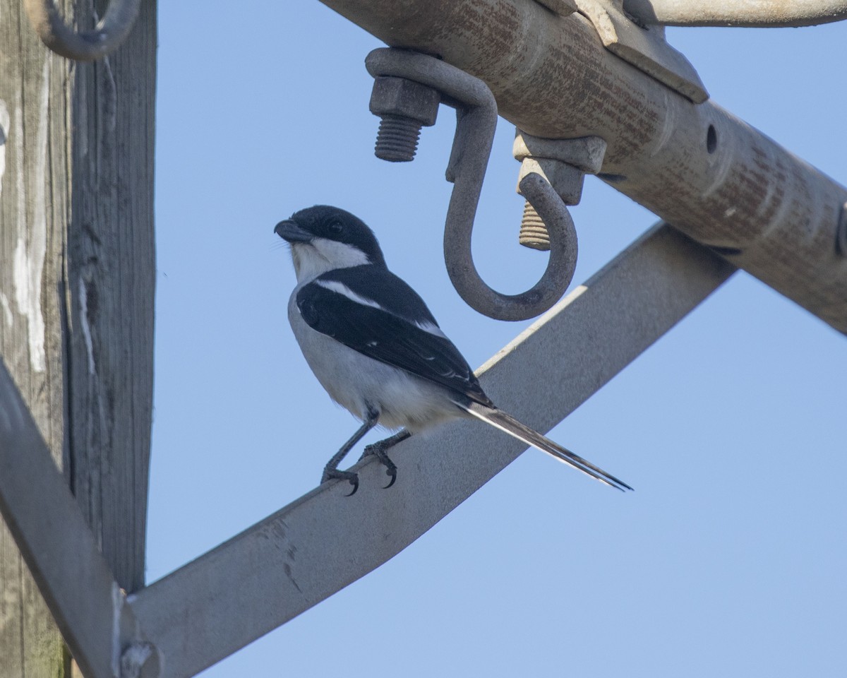 Southern Fiscal - ML214108151