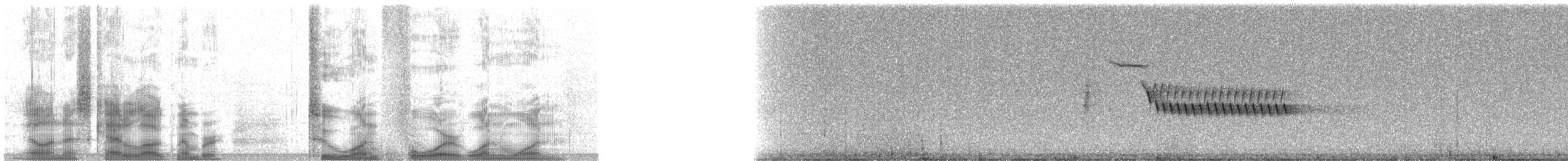 Bewick's Wren - ML21411