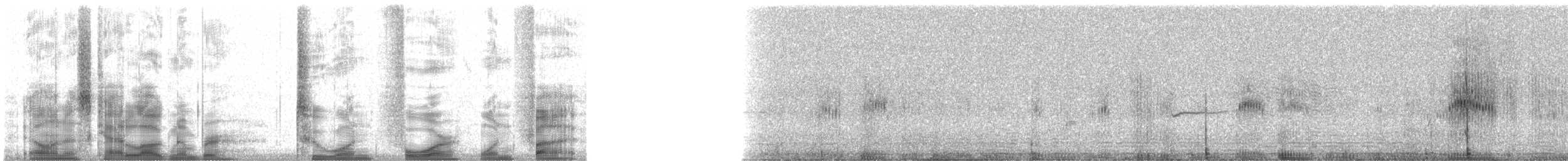 Black-chinned Hummingbird - ML21415