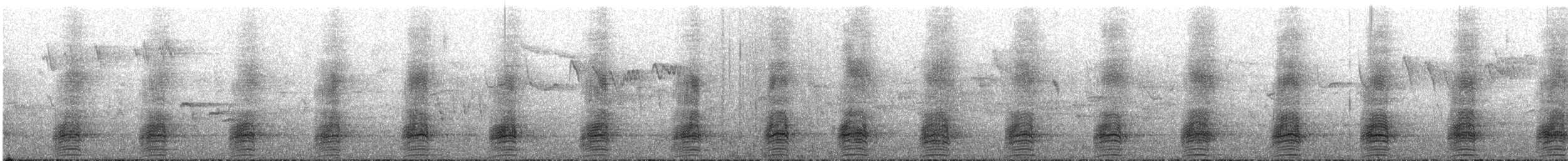 Stockente - ML214150601