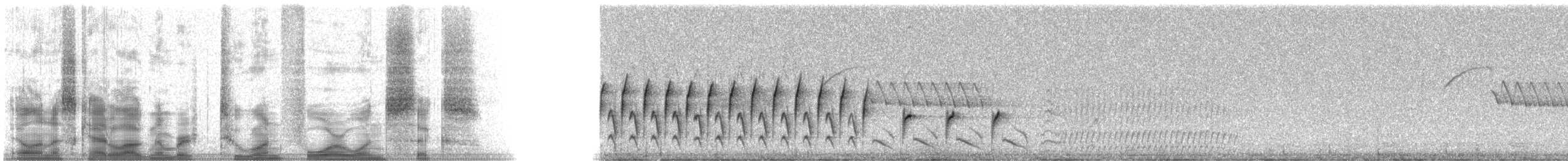 Northern Cardinal - ML21416