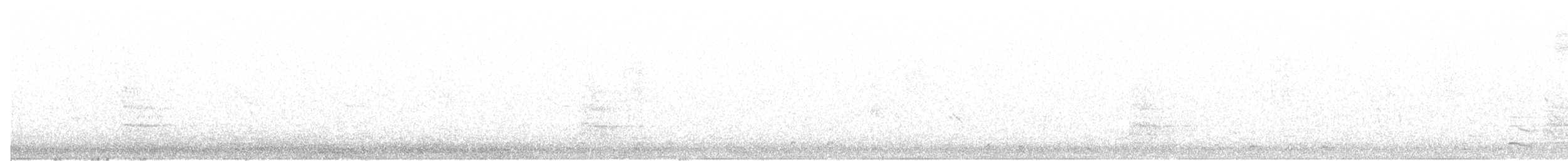 Ring-necked Pheasant - ML214212231