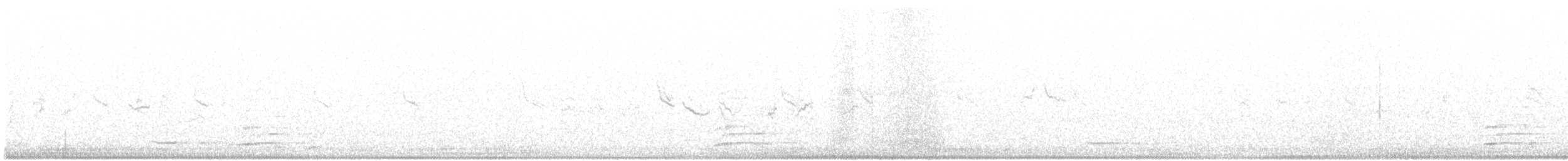 Ring-necked Pheasant - ML214212291